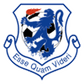 Launceston United logo
