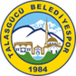 Talasgücü Belediyespor logo