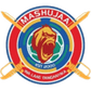 Mashujaa logo