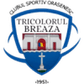 Tricolorul Breaza logo