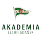 Akademia Piłkarska LG logo