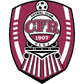 CFR 1907 Cluj logo