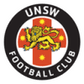 UNSW logo