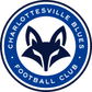 Charlottesville Blues logo
