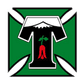 Deportes Temuco logo