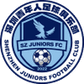 Shenzhen Juniors logo