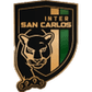 Inter San Carlos logo