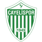 Çayelispor logo