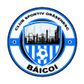 Baicoi logo