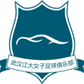 Wuhan Jiangda W logo