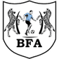Black Lions logo