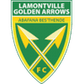 Golden Arrows logo