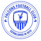 Falcons logo