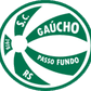 SC Gaucho RS U20 logo