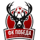Pobeda Nizhniy Novgorod logo