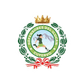 Defensores W logo