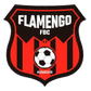 Flamengo FBC W logo