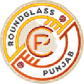 Minerva Punjab logo