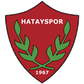Hatayspor logo