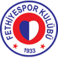 Fethiyespor logo