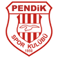 Pendikspor logo