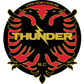 Dandenong Thunder logo
