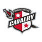 Brazos Valley logo
