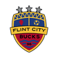 Flint City Bucks logo