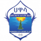 Awassa Kenema logo