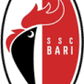Bari logo