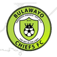 Bulawayo Chiefs logo
