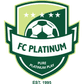 Platinum logo