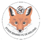 Stade Renard logo
