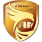 Dalian Huayi logo