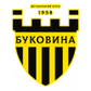 Bukovyna logo