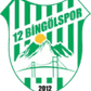 12 Bingölspor logo