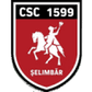 Viitorul Şelimbăr logo