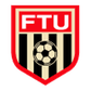 Flint logo