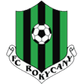 Rokycany logo