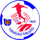 Valašské Meziříčí logo