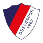 Düzcespor logo