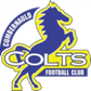 Cumbernauld Colts logo