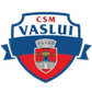 CSM FC Vaslui logo