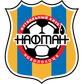 Naftan logo