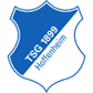 Hoffenheim U19 logo