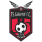 TS Galaxy logo