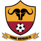 Young Buffaloes logo