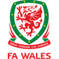 Wales U21 logo