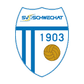 Schwechat logo