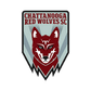 Chattanooga Red Wolves logo